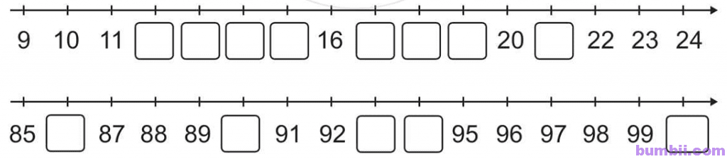 Bumbii Bài 3: Tia số. Số liền trước, số liền sau trang 8 Vở bài tập toán lớp 3 tập 2 NXB Chân Trời Sáng Tạo. H3