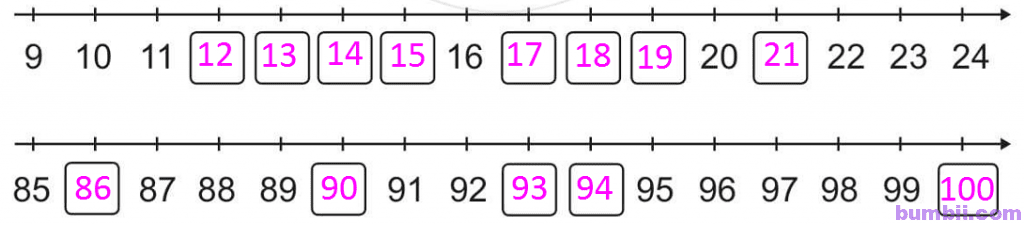 Bài 3: Tia số. Số liền trước, số liền sau trang 10 SGK toán lớp 2 tập 1 NXB Cánh Diều.