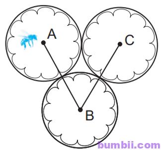 Bumbii Bài 17: Hình tròn. Tâm, bán kính, đường kính của hình tròn  trang 47 Vở bài tập toán lớp 3 tập 1 NXB Kết Nối Tri Thức Với Cuộc Sống. H4
