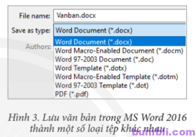 Một số loại tệp khác nhau trong MS Word 2016