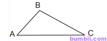 Bumbii Chu vi hình tam giác - Chu vi hình tứ giác trang 38 Vở bài tập toán lớp 3 tập 2 NXB Chân Trời Sáng Tạo. H1