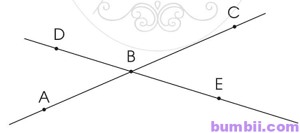 Bumbii Bài 43: Đường thẳng - đường cong, đường gấp khúc trang 73 Vở bài tập toán lớp 2 tập 1 NXB Cánh Diều. H3
