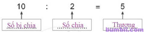 Bumbii Bài 62: Số bị chia – số chia – thương trang 24 Vở bài tập toán lớp 2 tập 2 NXB Cánh Diều. H3