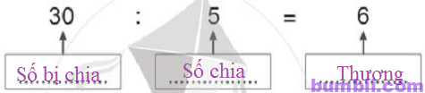 Bumbii Bài 62: Số bị chia – số chia – thương trang 24 Vở bài tập toán lớp 2 tập 2 NXB Cánh Diều. H4
