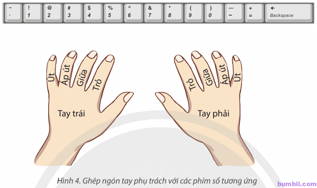 Bài 2: Gõ bàn phím đúng cách - Hình 4. Ghép ngón tay phụ trách với các phím số tương ứng