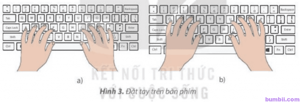 Bài 2. Gõ bàn phím đúng cách - Hình 3. Đặt tay trên bàn phím