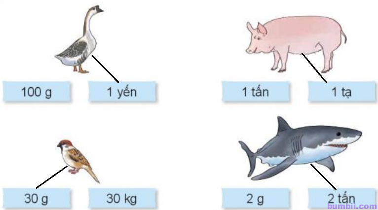 Bumbii Bài 21: Luyện tập chung trang 73 SGK toán lớp 4 tập 1 Kết Nối Tri Thức Với Cuộc Sống. Cân nặng của con vật ngang, lợn, chm, cá mập