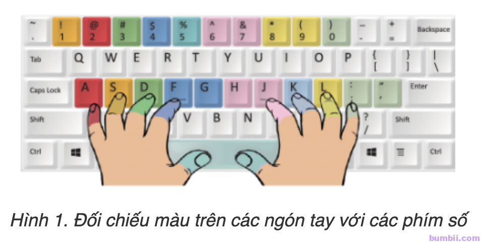 Bài 1. Em tập gõ hàng phím số - Hình 1. Đối chiếu màu trên các ngón tay với các phím số