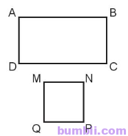 Bumbii Bài 29: Hai đường thẳng song song trang 98 SGK toán lớp 4 tập 1 Kết Nối Tri Thức Với Cuộc Sống. Hình chữ nhật hình vuông