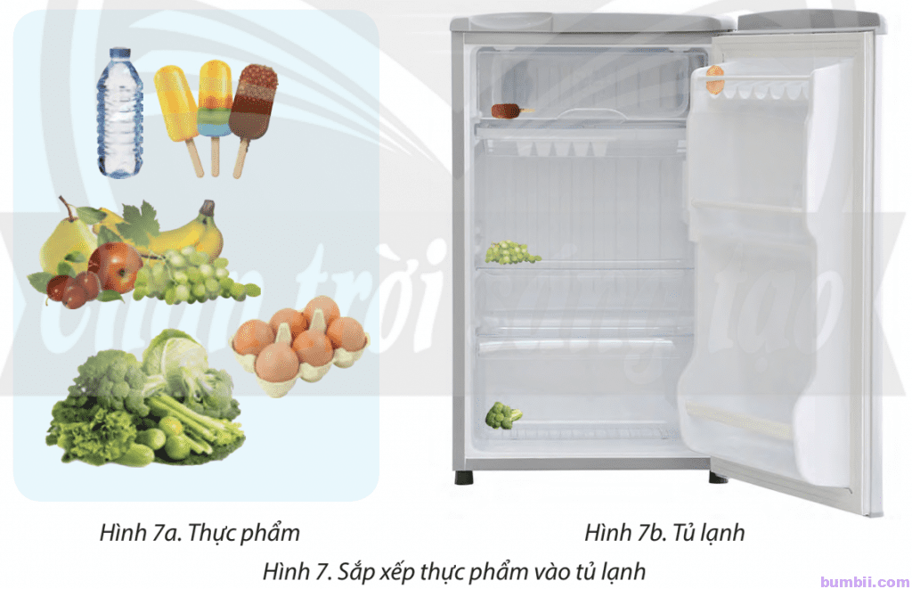 Bài 7. Sắp xếp để dễ tìm - Hình 7. Sắp xếp thực phẩm vào tủ lạnh