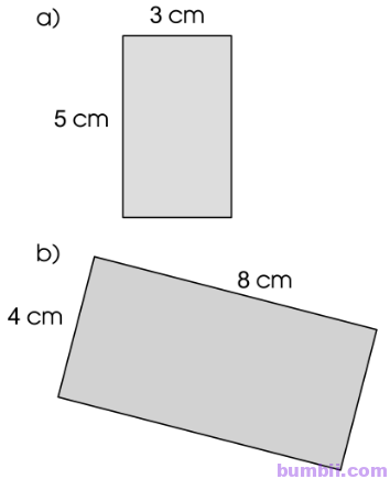 Bumbii Bài 95: Diện tích hình chữ nhật, diện tích hình vuông trang 90 VBT toán lớp 3 tập 2 Cánh Diều. Hình 1