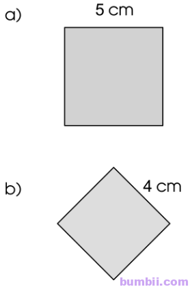 Bumbii Bài 95: Diện tích hình chữ nhật, diện tích hình vuông trang 90 VBT toán lớp 3 tập 2 Cánh Diều. Hình 2