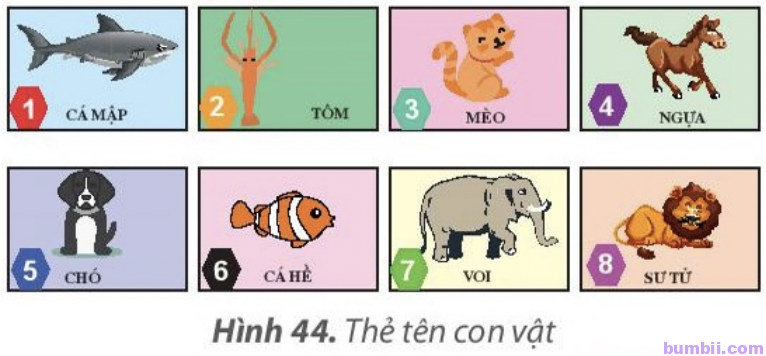 Bài 7. Sắp xếp để dễ tìm - Hình 44. Thẻ tên con vật
